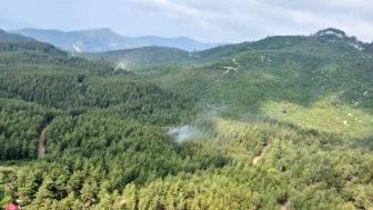 Osmaniye'de orman yangınlarına kökten tedbir! Girişler yasaklandı