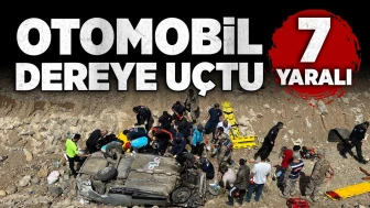 Otomobil dereye uçtu: 7 yaralı