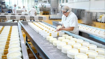 Dikkat! Ünlü peynir markasının ürünleri geri çağrılıyor: Sağlık tehlikesi bulunuyor