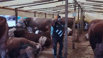 Sivrisineklerle mücadele çalışmaları hız kesmeden devam ediyor.