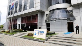 TMSF'nin kontrolündeki şirket sayısı 770'e çıktı! Dev holdingin sahibi devlet oldu.