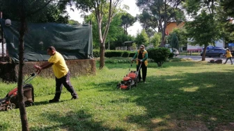 Aydın'da Yazlık Çiçek Dikim Çalışmaları Hız Kazandı!