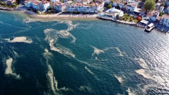 Marmara Denizi’nin 4 yıllık çığlığı: “Suyun atık yükünü azaltamadık”