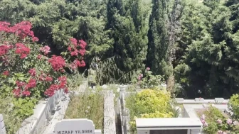İstanbul Arnavutköy'de Mezarlıkta Bulunan Bebek Cesediyle İlgili Soruşturma Başlatıldı