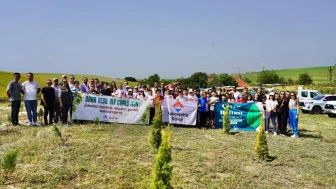 Toprağa yeni fidanlar dikiyoruz, geleceğe umutla bakıyoruz