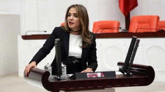 'Eğitim anayasal hak ama masraflar aileleri zorluyor'