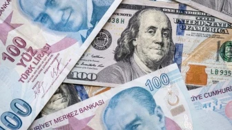 Bakanlıktan 'vergisiz döviz' iddialarına yalanlama