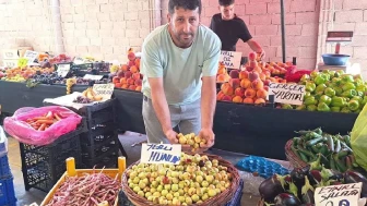 Çin alternatif tıpta kullanıyordu, tezgahta yerini aldı!