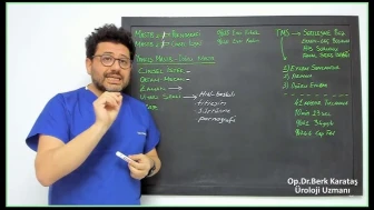 Mastürbasyon Sayı ve Sıklığı Ne Olmalı?
