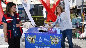 Yalova Belediyesi, sokak hayvanları için 'Askıda Mama' kampanyası başlattı, Uğur Mumcu Kültür Merkezi'nde bağışlar toplanmaya başlandı.
