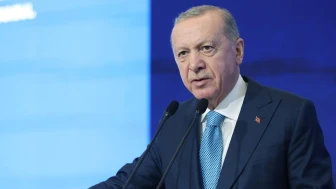 'Tek bir ülkeye bağlı olmak ciddi risk'
