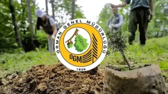 Orman Genel Müdürlüğü, İstihdam İçin 262 Daimi İşçi Alacak: Başvuru Sonuçları Ne Zaman Açıklanacak?