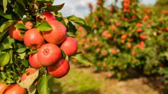 Para akışınızı engelleyen gizli direnç: Kıskançlık