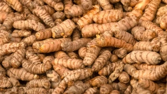 Enfeksiyonla Başa Çıkmada Liderler Belli Oldu: Klinik Bulgular Açıklandı