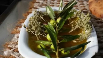 Zeytinyağı uzmanı, erken ve olgun hasat arasındaki farkı açıkladı!