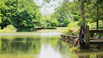 İstanbul'un Doğal Hazineleri: Keşfedilmeyi Bekleyen En İyi Ormanlar