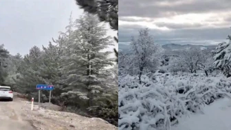 Manisa ve İzmir halkını endişelendiren gelişme! Kasım ayında yağması beklenen kar erken geldi: Spil Dağı karla kaplandı