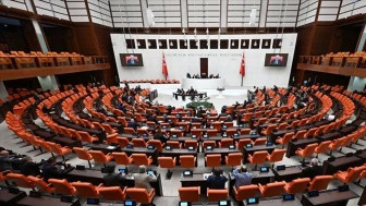 TBMM’de çocuk tacizine karşı yeni bir adım: İzlem Grubu oluşturuldu