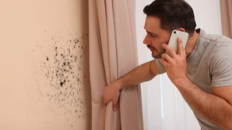 Duvarlardaki Küf ve Rutubet İzlerini Tamamen Yok Eden Etkili Yöntem!