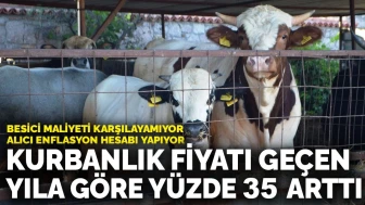 Kurbanlık fiyatı geçen yıla göre yüzde 35 arttı