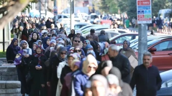 Sebze fiyatları arttı vatandaş bedava fide kuyruğuna girdi