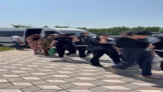 Kocaeli ve İstanbul'da düzenlenen fuhuş operasyonunda 6 kadın kurtarıldı, 5 şüpheli tutuklandı.