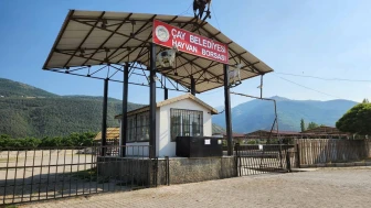 Çay’da hayvan pazarı kapatıldı