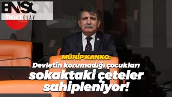 Mühip Kanko: Devletin korumadığı çocukları, sokaktaki çeteler sahipleniyor!