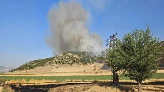 Gaziantep'te anız yakan çiftçiye 47 bin lira ceza