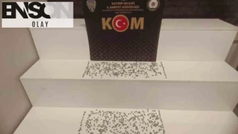 Tarihi eser kaçakçıları yakayı ele verdi