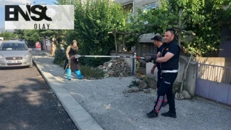 Afyonkarahisar'da Bahçeye Giren Yılan İtfaiye Tarafından Yakalandı ve Doğaya Bırakıldı