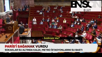 Paris'i sağanak vurdu, Fransa Meclis'i de nasibini aldı