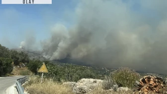 Sakız Adası'ndaki yangın kontrol altına alındı