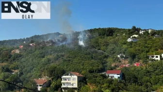 İşaret fişeği 500 metrekarelik alanı yaktı: Şüpheliden 'söner zannettim' savunması