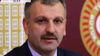 Saray'ın önemli ismi AKP'li Bakanı azarladı