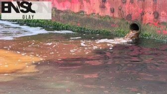 Bakanlıktan Yalova’da çevreyi kirleten tersaneye rekor ceza!