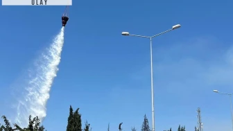 Bornova'da yangına hangi araçlarla müdahale ediliyor? OGM açıkladı