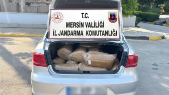 Mersin’de kaçak tütün operasyonu