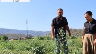 Satılmayınca kilosunu 1 TL yaptılar