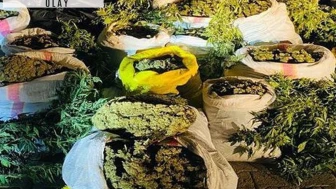 45 bin kök kenevirle yakalandılar: 4 kişi tutuklandı