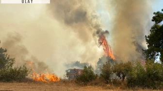 Çanakkale'de orman yangını çıktı! Müdahale ediliyor