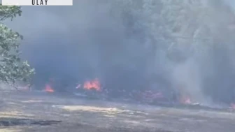 Bartın'da anız yangını ormana sıçradı