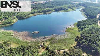 Buraya moloz dökecekler