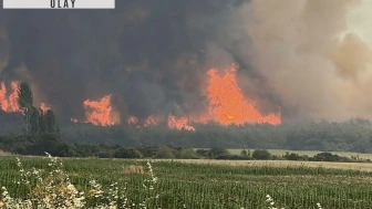 Çanakkale'de 85 orman zarar gördü