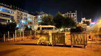 Tunceli'de sokak kedisini öldüren şüpheli tutuklandı