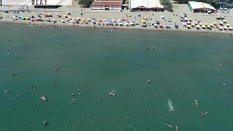 Sıcaktan bunalan maviye koştu