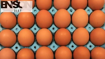 Sofralık yumurta ihracatında yeni düzenleme