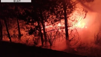 Bolu’da örtü yangını! Alevler kontrol altına alındı