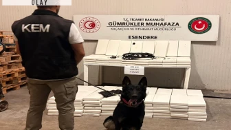 İran'dan Türkiye'ye giriş yapan TIR'da 300 kilo uyuşturucu ele geçirildi; sürücü gözaltında