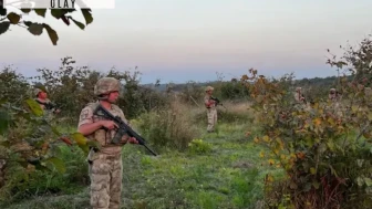 Kilosu 600 bin TL'ye fırlayınca Jandarma tarlada nöbet tutmaya başladı